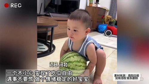 情绪稳定娱乐吃瓜酱,娱乐吃瓜，酱香四溢的欢乐时光